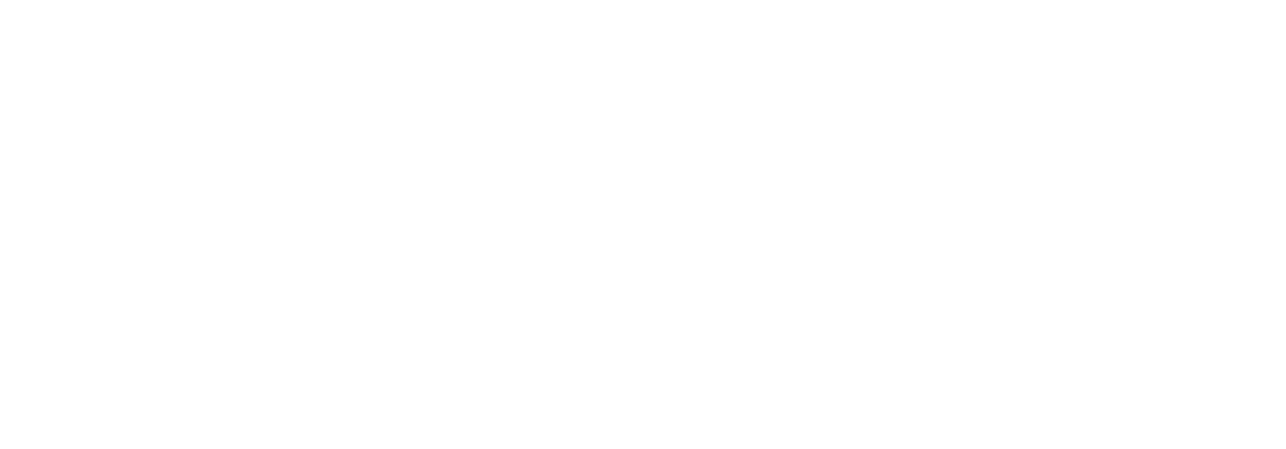 Brava vattenrening logotype vit